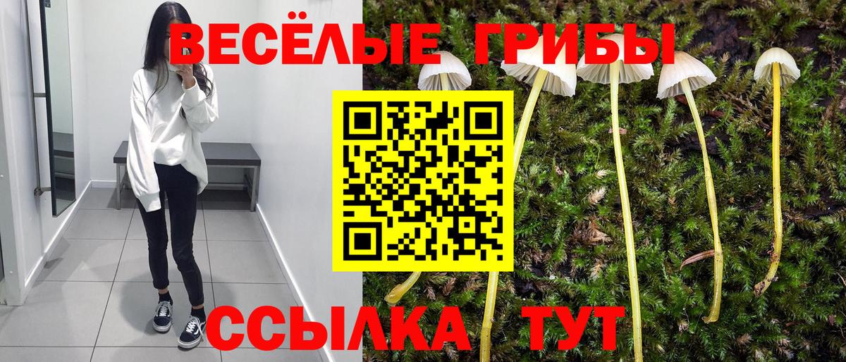 Амурск  Галлюциногенные грибы мицелий  Псилоцибиновые грибы Magic Shrooms  Вход с VPN 